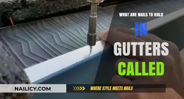Essential Gutter Nails: Types and Names for Secure Gutter Installation