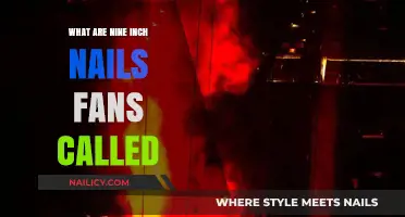 Unveiling the Name: What Are Nine Inch Nails Fans Called?
