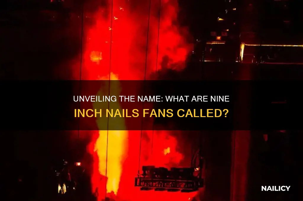 what are nine inch nails fans called