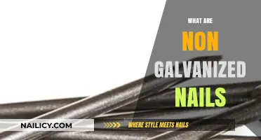 Exploring the Differences: Non-Galvanized Nails vs. Galvanized Nails