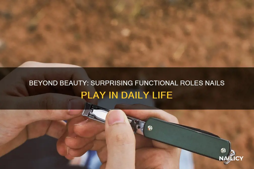 what are other roles that nails serve