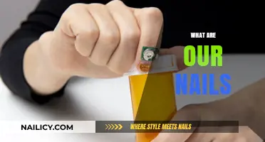 Unveiling the Secrets: What Our Nails Reveal About Us