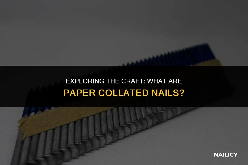 what are paper collated nails