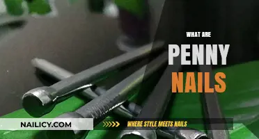 Exploring the Uses and Varieties of Penny Nails in Construction