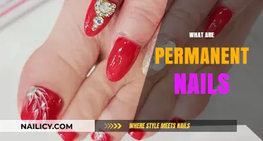 Exploring the Durability and Style of Permanent Nails