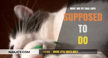 Understanding Pet Nail Caps: Purpose, Benefits, and How They Protect