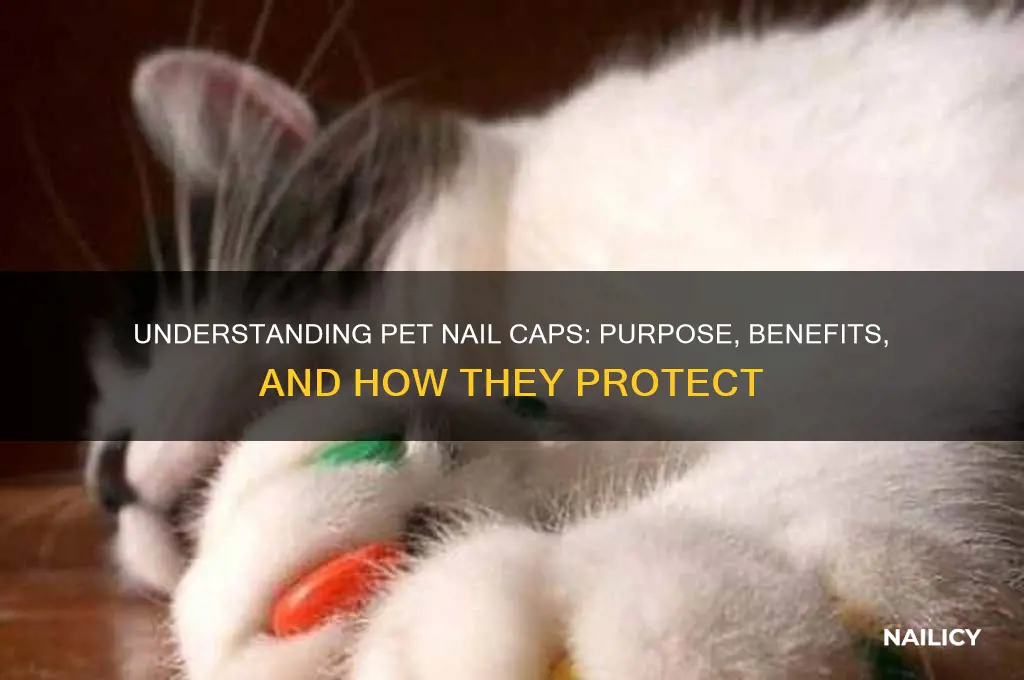 what are pet nail caps supposed to do