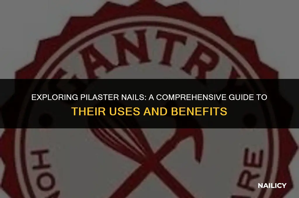 what are pilaster nails