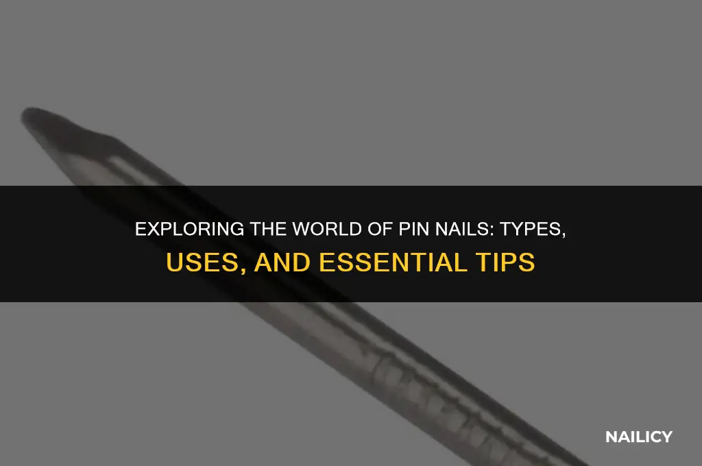 what are pin nails
