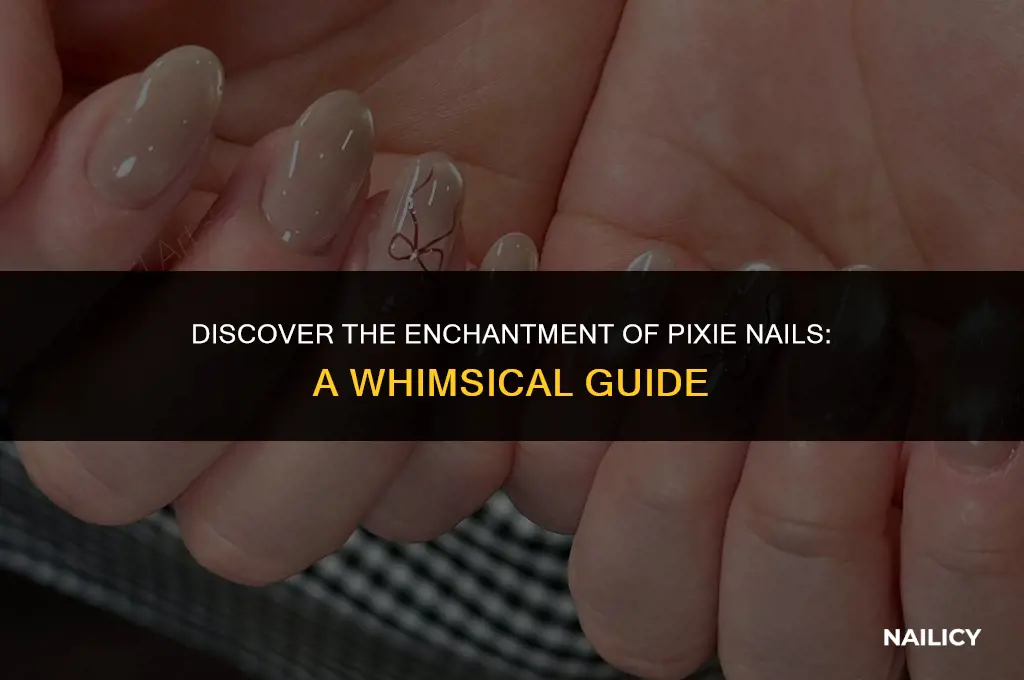 what are pixie nails
