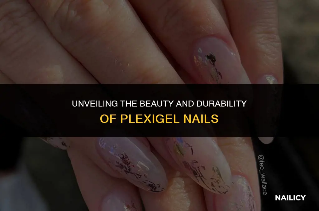 what are plexigel nails