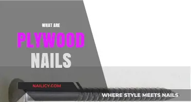 Exploring Plywood Nails: Types, Uses, and Essential Tips
