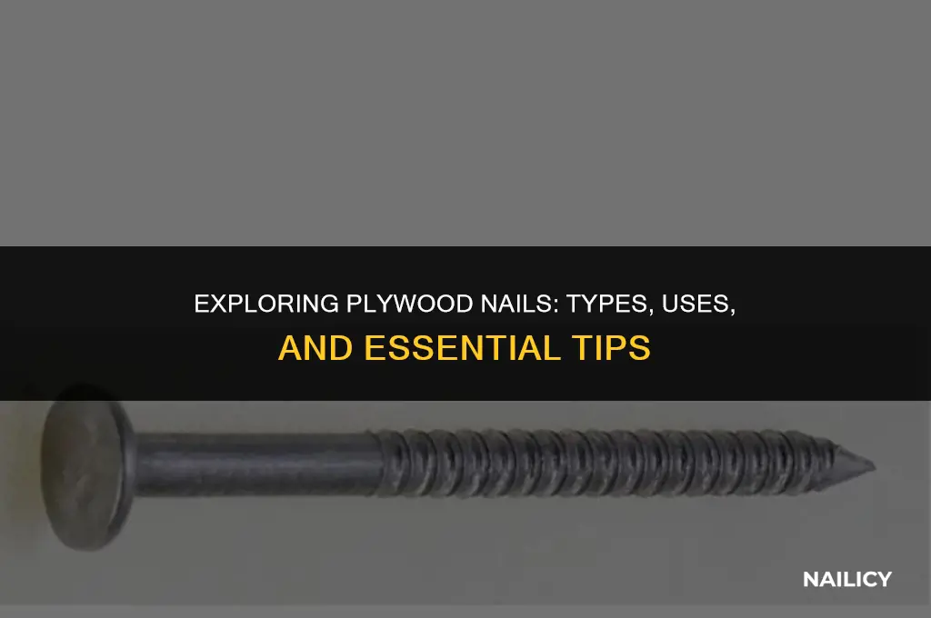 what are plywood nails