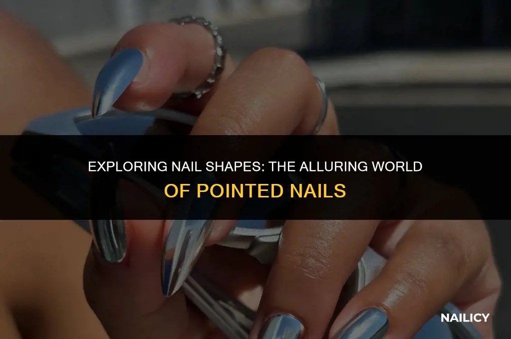 what are pointed nails called