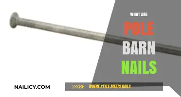 Exploring Pole Barn Nails: Types, Uses, and Essential Info