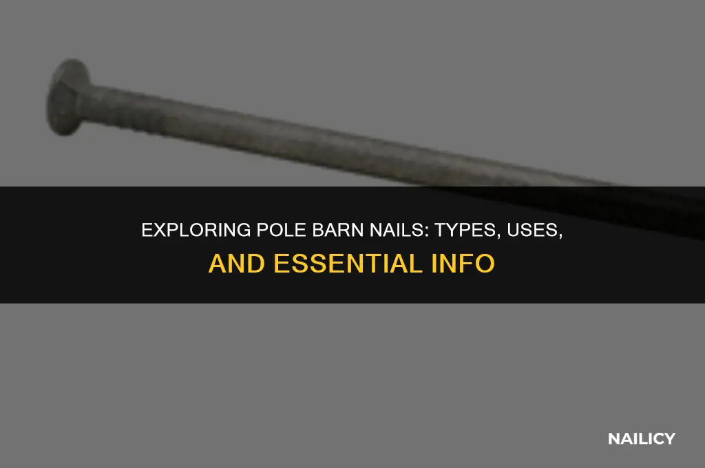 what are pole barn nails