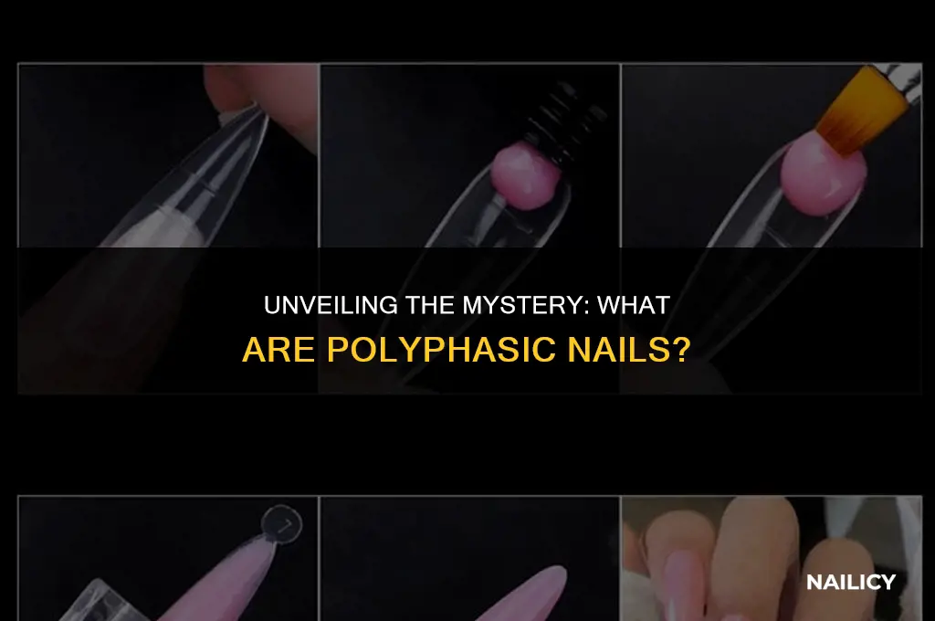 what are polyphasic nails