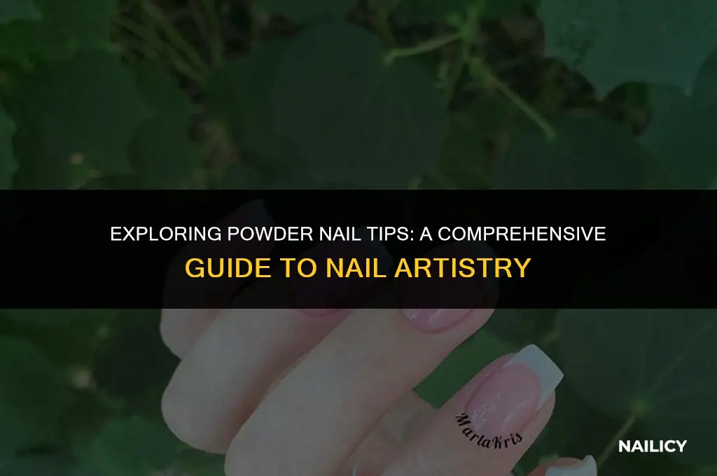 what are powder nail tips