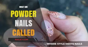 Exploring the World of Powder Nails: A Comprehensive Guide