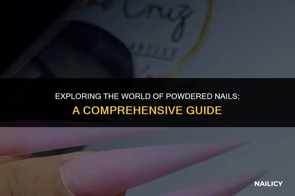 what are powdered nails