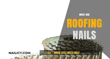 Exploring Roofing Nails: Types, Uses, and Essential Installation Tips