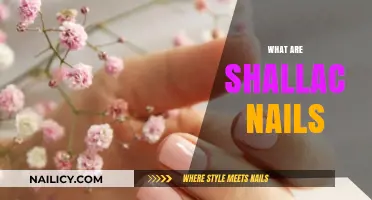 Discover the Elegance: What Are Shallac Nails and Why They're Trending