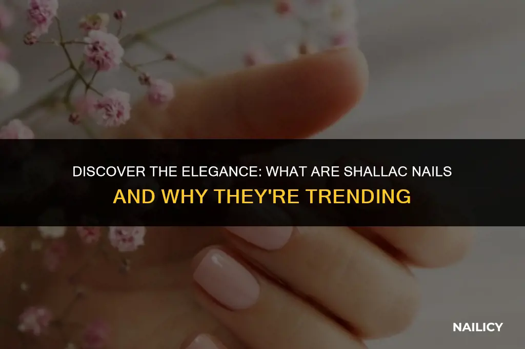 what are shallac nails