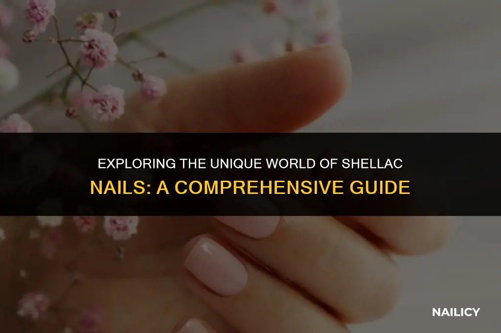 what are shellas nails