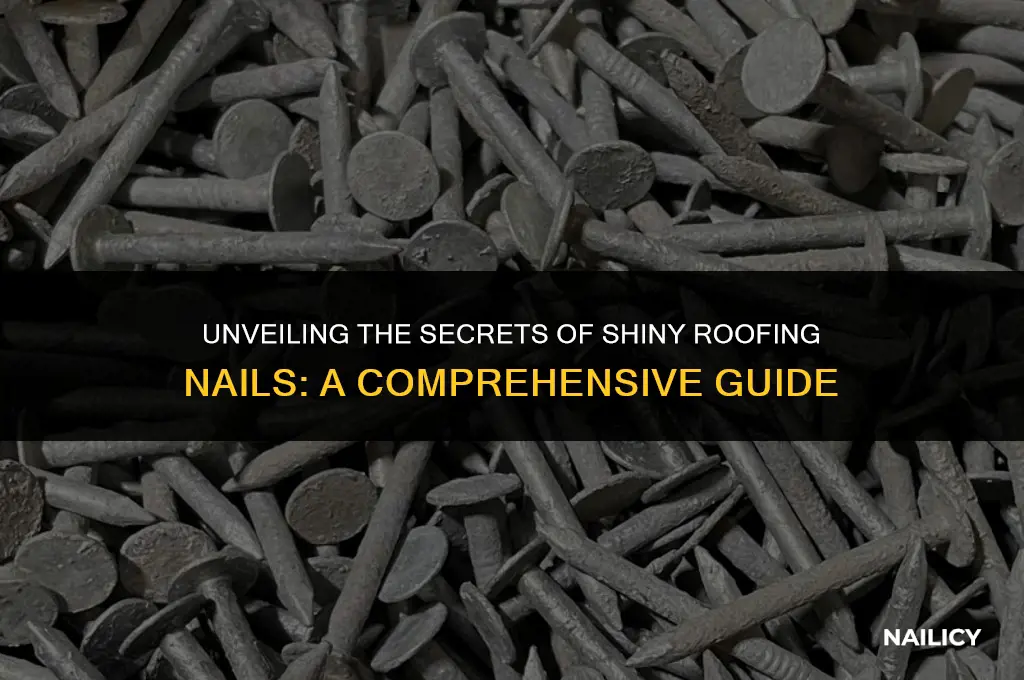 what are shiny roofing nails