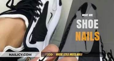 Exploring the World of Shoe Nails: A Comprehensive Guide