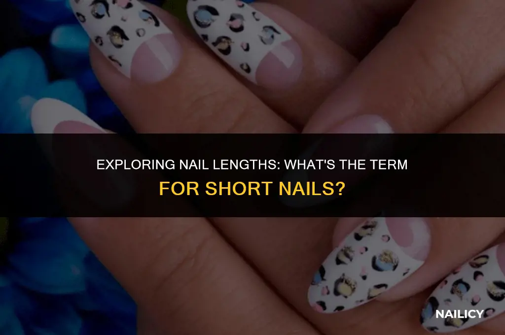 what are short nails called