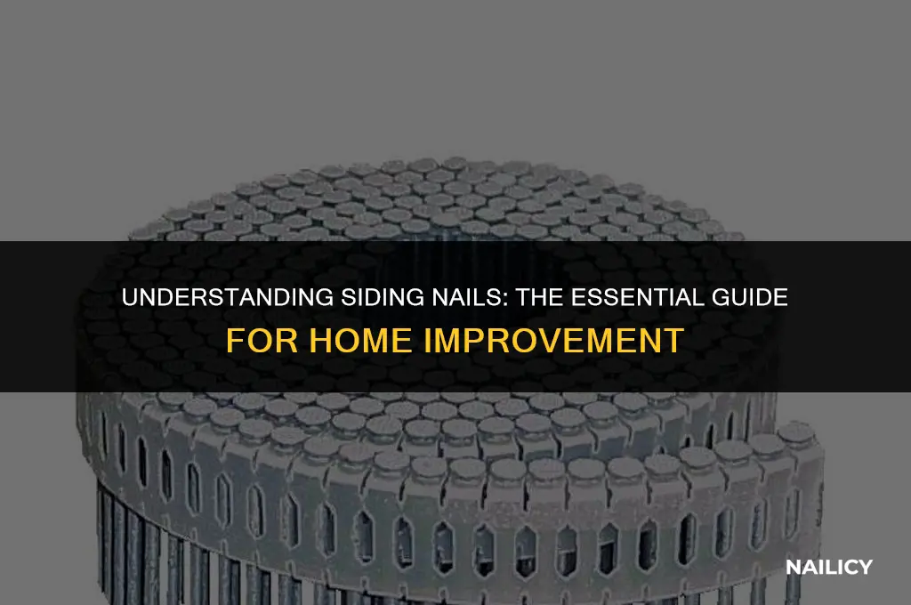 what are siding nails