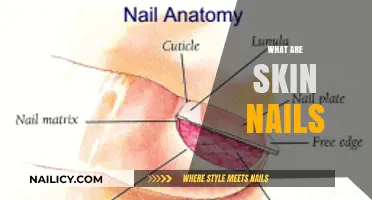 Exploring the Essentials: What Are Skin Nails and Their Purpose?