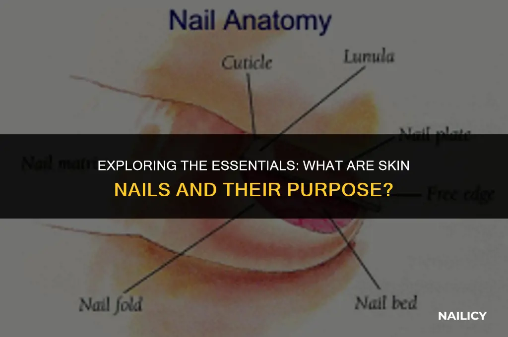 what are skin nails
