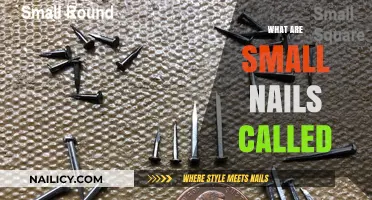 Tiny Tacks: Exploring the World of Small Nails