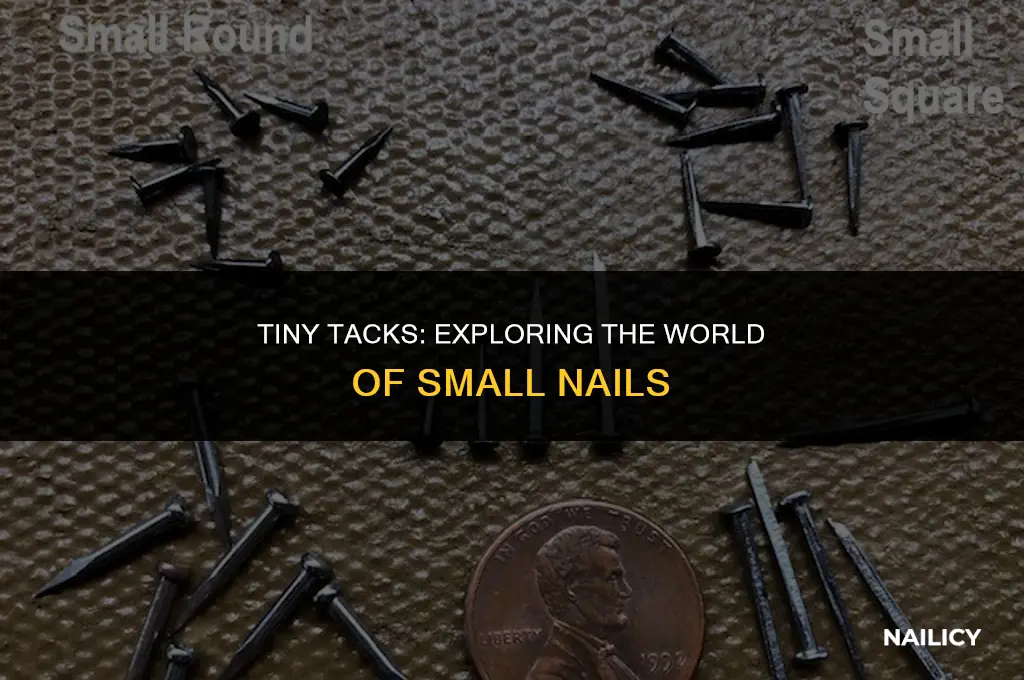what are small nails called