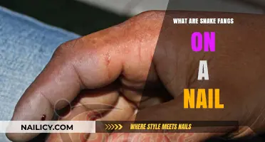 Snake Fangs on a Nail: Unveiling the Unique Reptilian Dental Adaptation