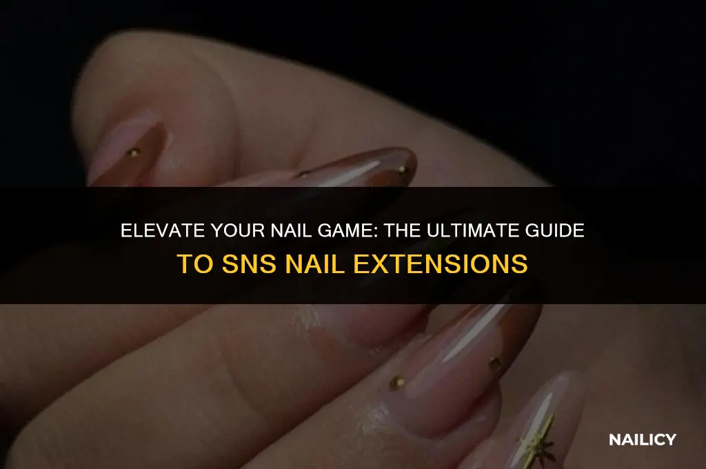 what are sns nail extensions
