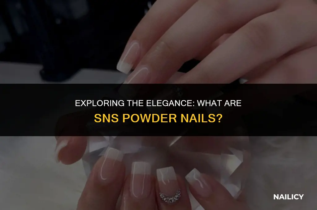 what are sns powder nails