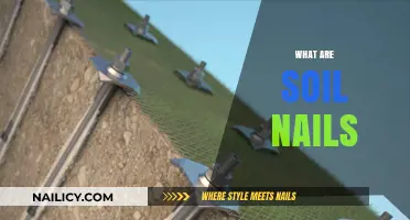 Exploring Soil Nails: The Unsung Heroes of Slope Stabilization