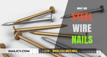 Exploring the Strength and Versatility of Steel Wire Nails
