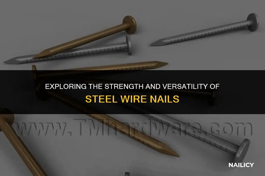 what are steel wire nails