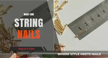 Exploring the Versatility of String Nails in Carpentry and Crafts
