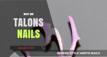 Exploring the Fascinating World of Talon Nails: A Comprehensive Guide