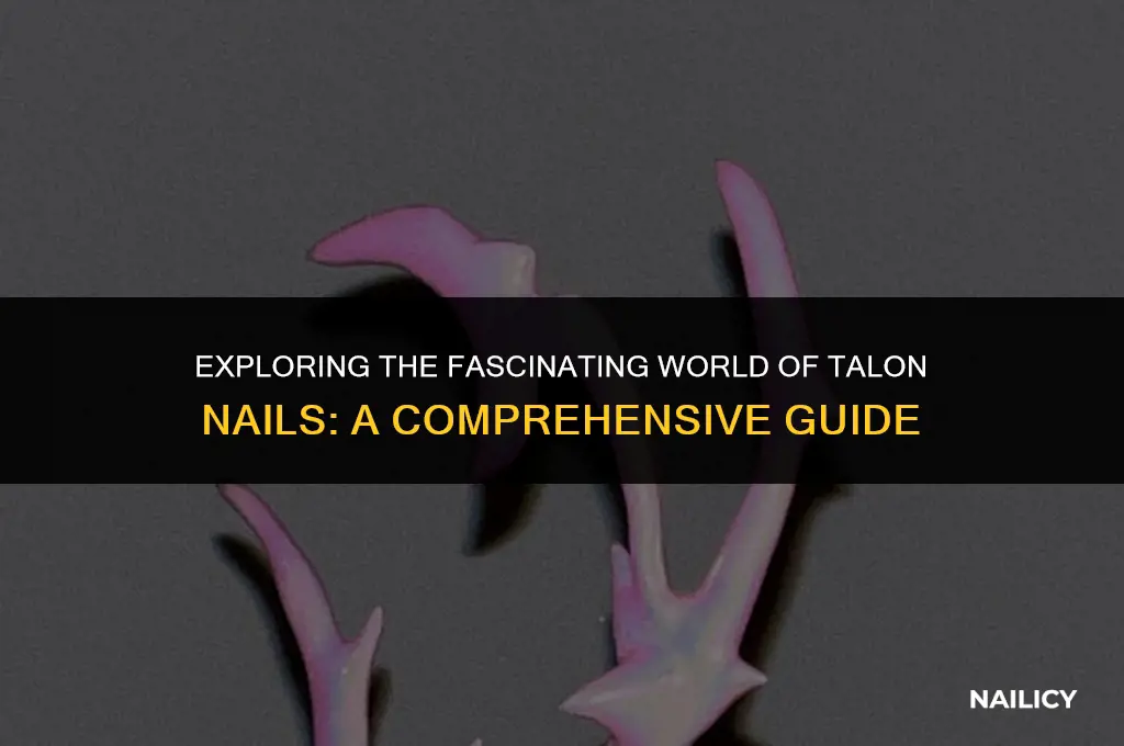 what are talons nails