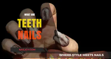 Exploring the Enamel: What Are Teeth and Nails Made Of?