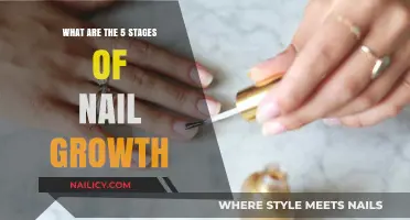 Understanding the Five Stages of Nail Growth: A Comprehensive Guide