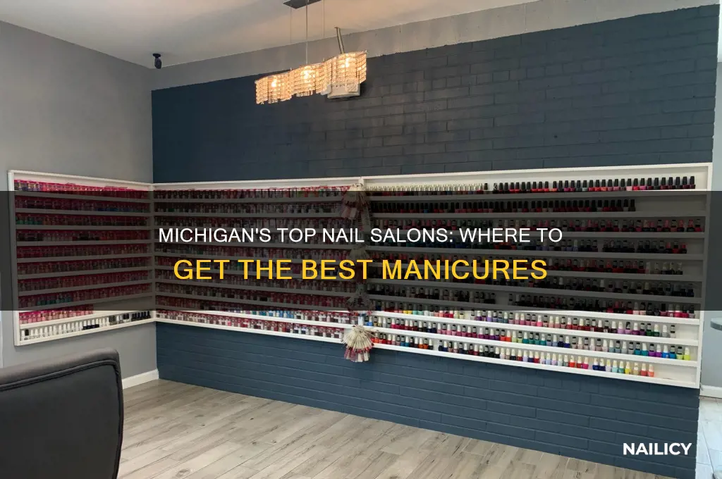 what are the best nail salons in michigan