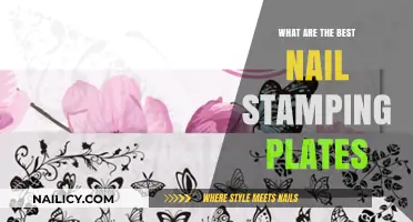 Top Nail Stamping Plates for Creative and Flawless Manicures