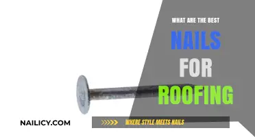 Top Roofing Nails: Choosing the Best for Durability and Performance